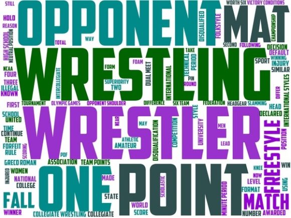 Amateur Wrestling Wordart Skinny Tumbler