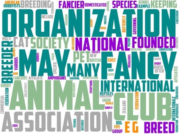 Animal Fancy Wordart Tshirt: A Hand-Drawn Word Cloud Design for Creative Projects
