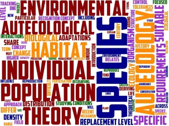 Autecology Wordart Wallpaper: A Creative and Versatile Design Solution