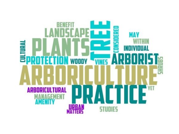 Tree Surgeon Typography Banner